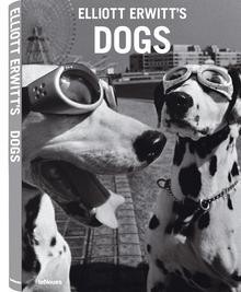 Elliott Erwitt's Dogs - Elliott Erwitt