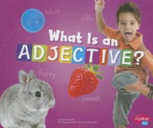 What Is an Adjective? - Jennifer Fandel