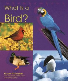 What Is a Bird? (Animal Kingdom) - Lola M. Schaefer