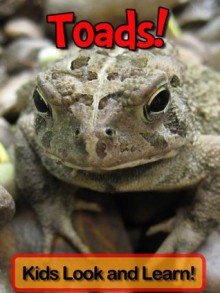 Toads! Learn About Toads and Enjoy Colorful Pictures - Look and Learn! (50+ Photos of Toads) - Becky Wolff