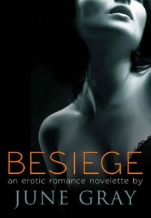 Besiege (DISARM, #2) - June Gray