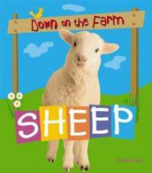 Sheep - Hannah Ray