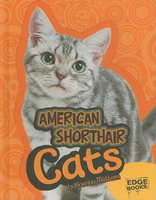 American Shorthair Cats - Joanne Mattern