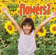 What Are Flowers? - Kelley Macaulay