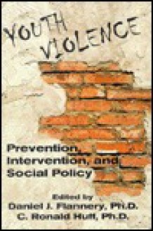 Youth Violence: Prevention, Intervention, and Social Policy - C. Ronald Huff, Daniel J. Flannery