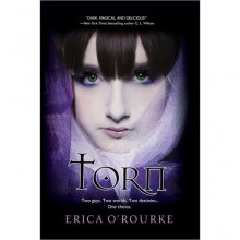 Torn (Torn Trilogy, #1) - Erica O'Rourke