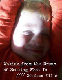 Waking from the Dream of Seeking What Is - Graham Ellis