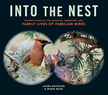 Into the Nest: Intimate Views of the Courting, Parenting, and Family Lives of Birds - Marie P. Read, Laura Erickson