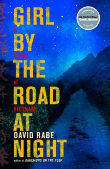 Girl by the Road at Night: A Novel of Vietnam - David Rabe