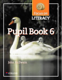 Focus On Literacy: Pupil Textbook Bk.6 - John McIlwain, Barry Scholes