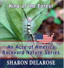 King of the Forest: An Acre of America Backyard Nature Series (Volume 3) - Sharon Delarose