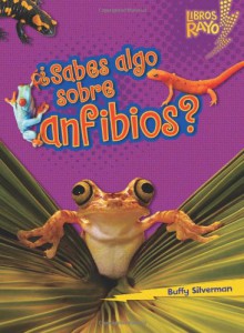 ..Sabes algo sobre anfibios?/ Do You Know about Amphibians? (Libros Rayo - Conoce Los Grupos De Animales /Lightning Bolt Books T - Meet the Animal ... Bolt Books Meet the Animal Groups)) - Buffy Silverman