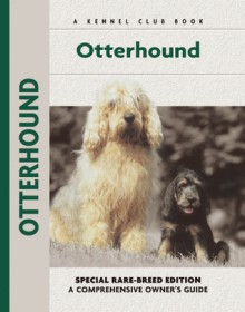 Otter Hound - Juliette Cunliffe