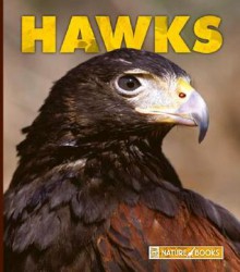 Hawks - Sharon Sharth