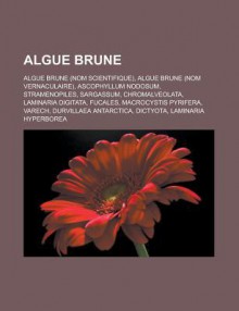 Algue Brune: Algue Brune (Nom Scientifique), Algue Brune (Nom Vernaculaire), Ascophyllum Nodosum, Stramenopiles, Sargassum, Chromalveolata, Laminaria Digitata, Fucales, Macrocystis Pyrifera, Varech, Durvillaea Antarctica, Dictyota, Laminaria Hyperborea - Source Wikipedia, Livres Groupe