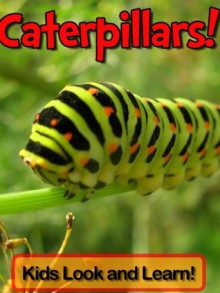 Caterpillars! Learn About Caterpillars and Enjoy Colorful Pictures - Look and Learn! (50+ Photos of Caterpillars) - Becky Wolff