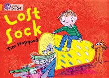 Lost Sock. - Tim Hopgood