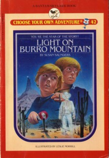 Light on Burro Mountain - Susan Saunders