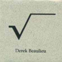 Square Root - Derek Beaulieu
