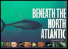 Beneath the North Atlantic - Jonathan Bird