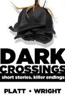 Dark Crossings Volume 1 - Sean Platt, David W. Wright