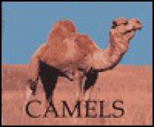 Camels - Jenny Markert