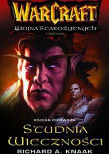 Studnia Wieczności - Richard A. Knaak