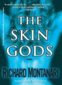 The Skin Gods - Richard Montanari