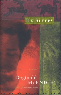 He Sleeps: A Novel - Reginald McKnight