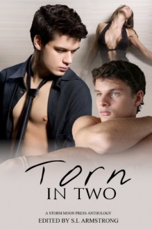 Torn In Two - S.L. Armstrong, G.S. Wiley, Lee Cairney, Kelly Rand