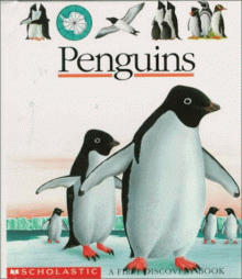 Penguins First Discovery - Gallimard Jeunesse, Gallimard Jeunesse