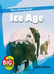 Ice Age - Louise Spilsbury