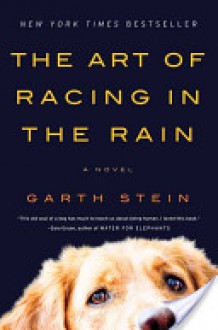 The Art of Racing in the Rain - Garth Stein