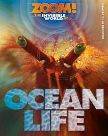 The Invisible World of Ocean Life - Camilla De La Bdoyre