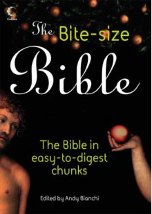 The Bite Size Bible - Andy Bianchi