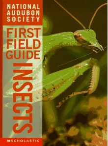 Insects (National Audubon Society's First Field Guides) - Christina Wilsdon