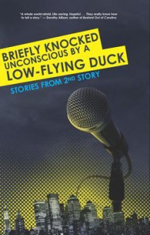 Briefly Knocked Unconscious by a Low-Flying Duck: Stories from 2nd Story - Andrew Reilly, Megan Stielstra