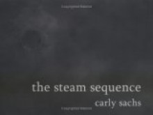 The Steam Sequence - Carly Sachs