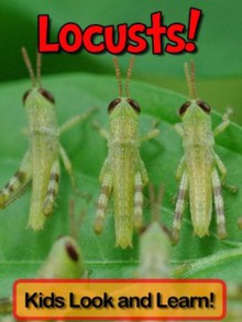 Locusts! Learn About Locusts and Enjoy Colorful Pictures - Look and Learn! (50+ Photos of Locusts) - Becky Wolff