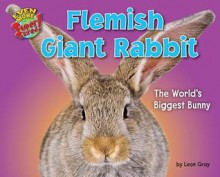 Flemish Giant Rabbit - Leon Gray