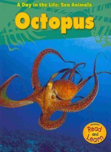 Octopus (A Day in the Life: Sea Animals) - Louise Spilsbury