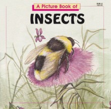 A Picture Book of Insects - Joanne Mattern, Janice Kinnealy