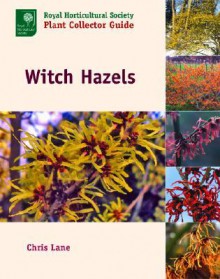 Witch Hazels - Christopher Lane