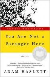 You Are Not a Stranger Here - Adam Haslett