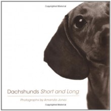 Dachshunds Short and Long - Amanda Jones