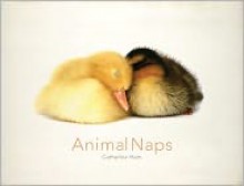 Animal Naps - Catherine Ham