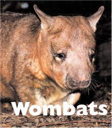 Wombats - Mary Berendes