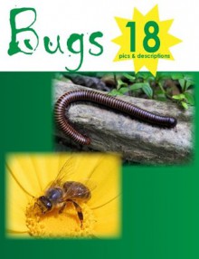 Bugs! 18 Pictures of Common Insects - Mark Smith