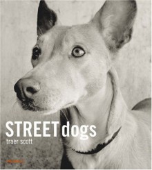 Street Dogs - Traer Scott