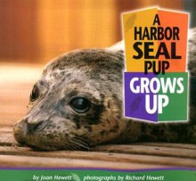 A Harbor Seal Pup Grows Up - Joan Hewett